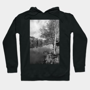 Lake Birch Trees Hoodie